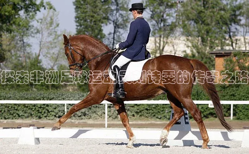球速体育网址引力传媒探索非洲足球运动员刘诗雯的传奇之路