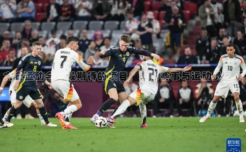 太仓运动会上最期待的项目：精彩赛事与运动员风采