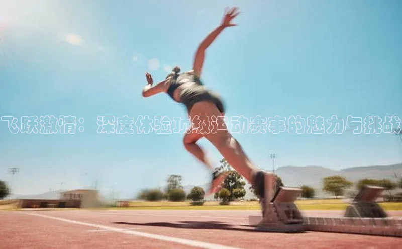 飞跃激情：深度体验顶级运动赛事的魅力与挑战