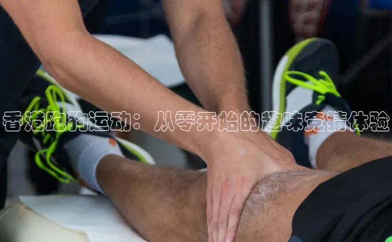 香港跑狗运动：从零开始的趣味竞猜体验