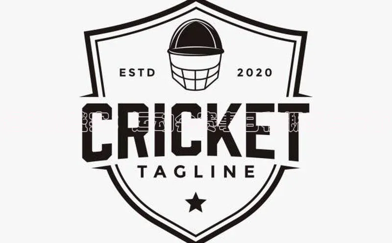 运动的盛宴：运动会赛事日程概览与分析