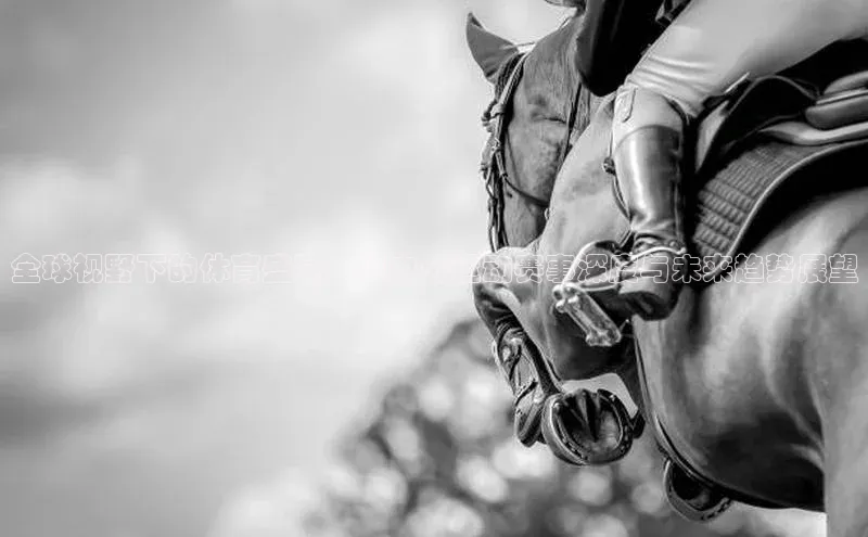 全球视野下的体育盛宴：国内外运动赛事深度与未来趋势展望