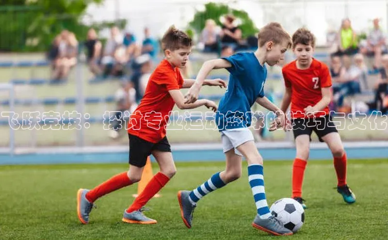 飞跃竞技：探讨专业运动篮球的技巧与文化