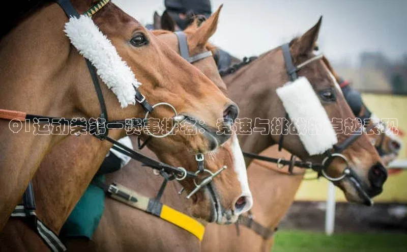 Q1运动类第一赛事排名：竞速与挑战的卓越表现
