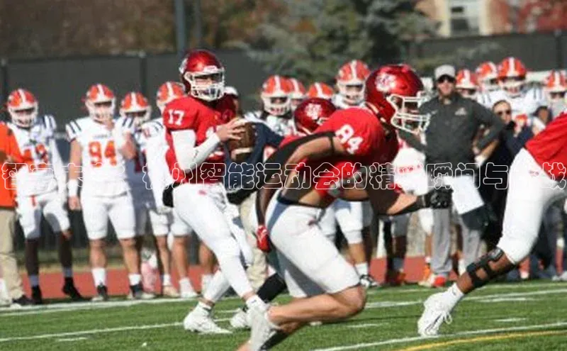 智享未来：杭州智能运动会的精彩瞬间与挑战