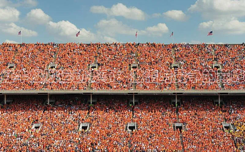 球速体育娱乐官方网站