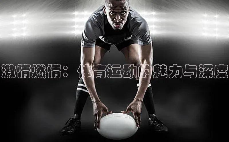 球速app官方入口