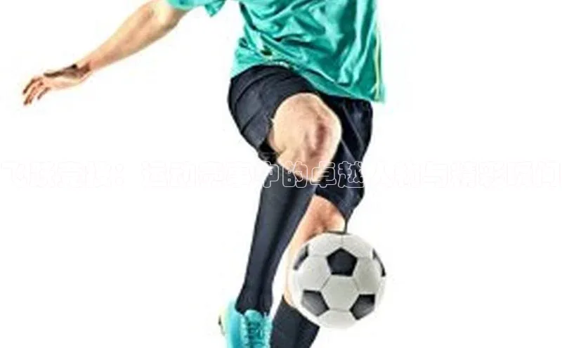 球速体育网页版登录入口