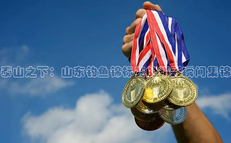 球速体育app下载地址手机版