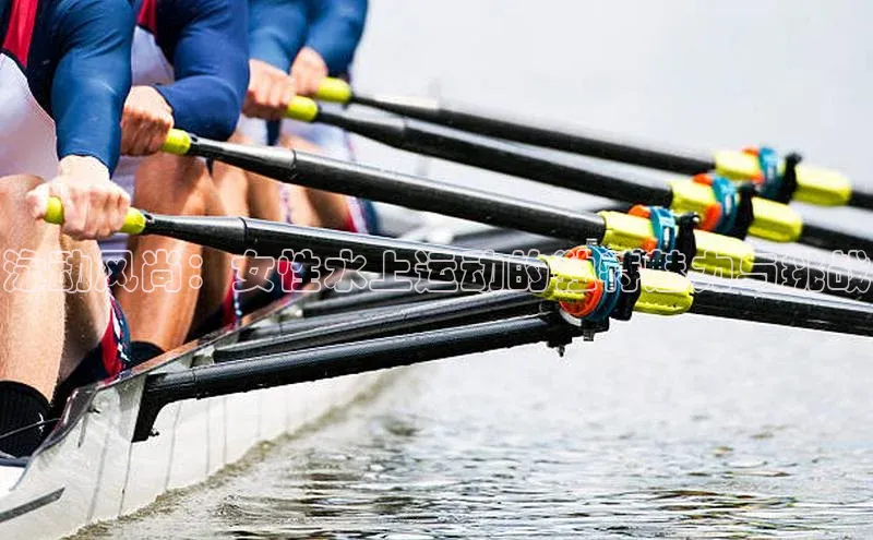 球速体育网页版登陆入口