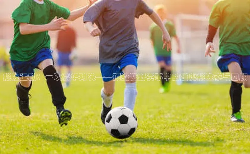 球速体育登录入口